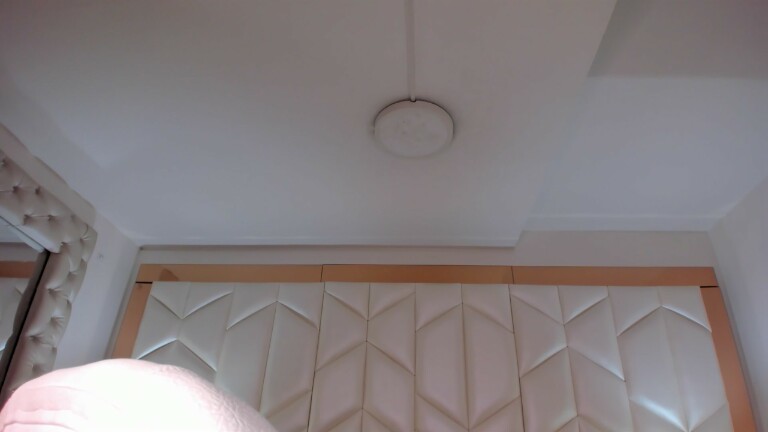 AmaraCollins's Streamate show and profile