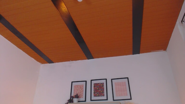 EmilyPricee's Streamate show and profile